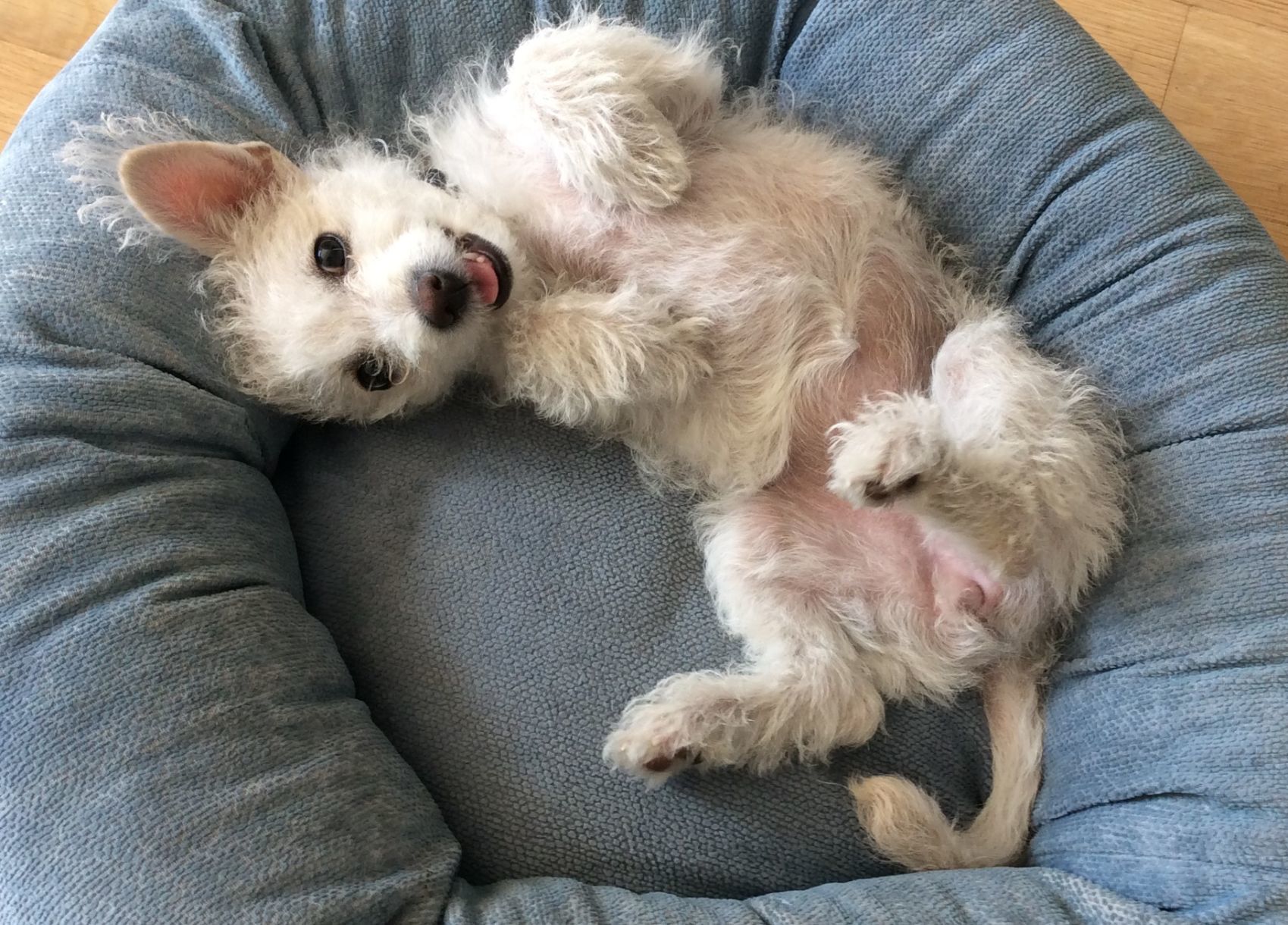Sophie